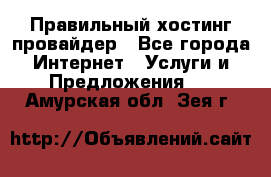 Правильный хостинг провайдер - Все города Интернет » Услуги и Предложения   . Амурская обл.,Зея г.